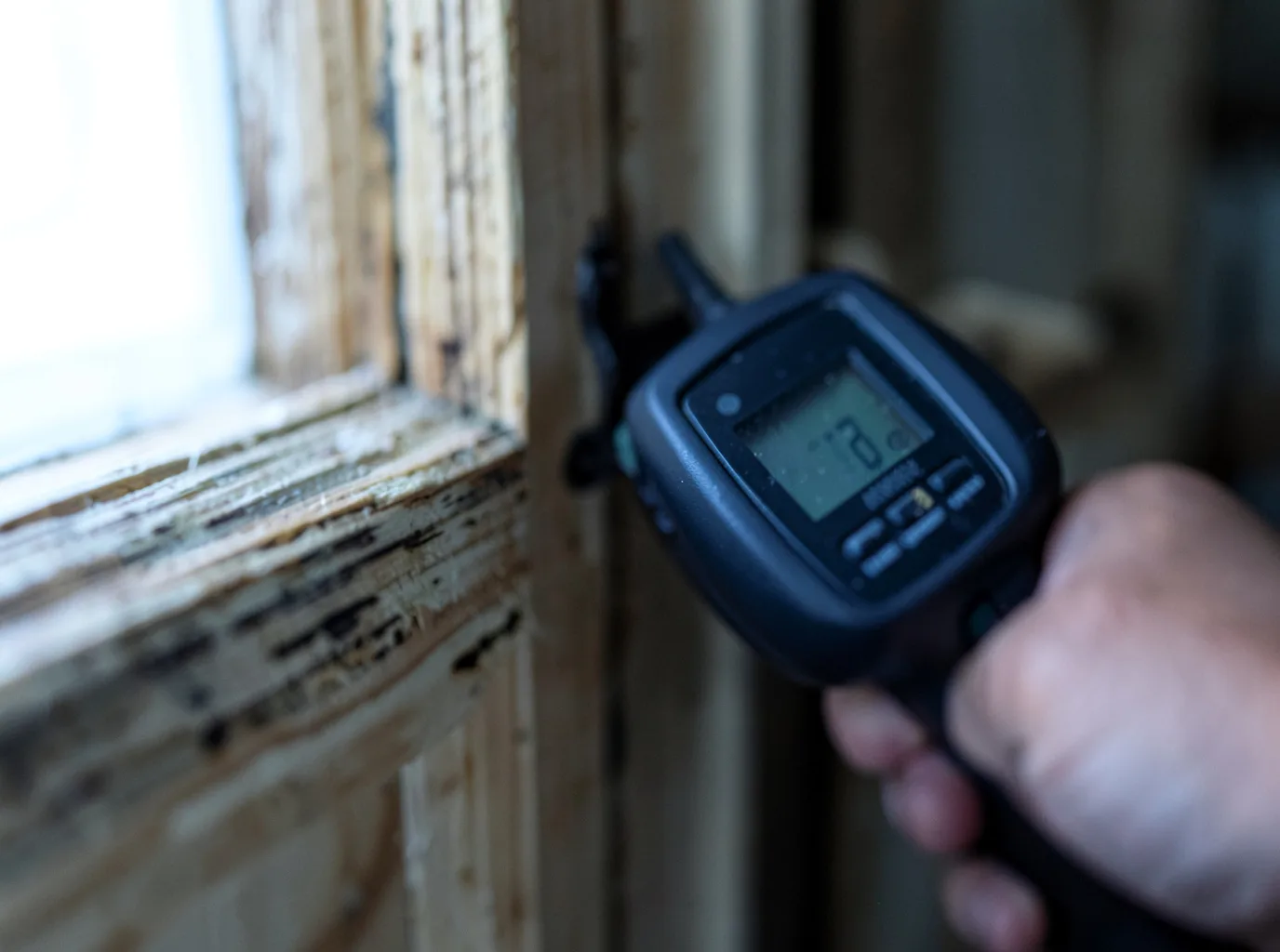 Moisture Inspection And Documentation in Adkins, TX